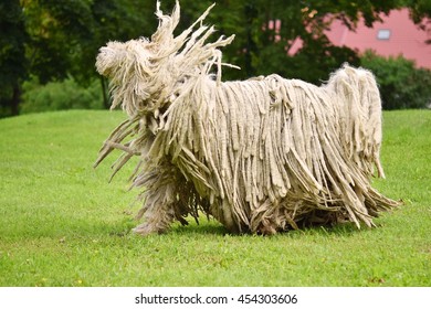 Dog Komondor Images Stock Photos Vectors Shutterstock