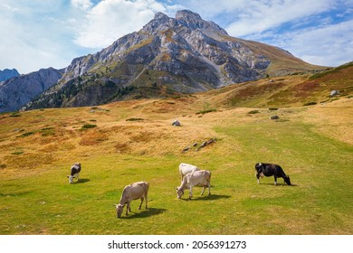 Komovi Mountains In Kolasin Montenegro