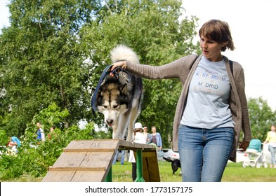 Komsomolsk-on-Amur, RUSSIA - JULY 21, 2018. mistress leads her dog through a boom during agility