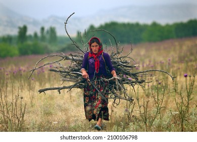 Konya, Turkey - October 17, 2018: The journey of the family, the nomadic of the Yellow Goats and migrating with their camels, began in Konya. A nomadic woman carrying wood on her back.