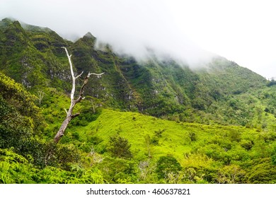 Koolau mountain range, Windward Oahu
