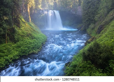 Willamette national forest Images, Stock Photos & Vectors | Shutterstock