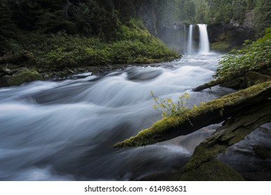 Koosah Falls-Waterfall-Willamette National Forest-Eugene-Oregon
