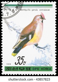 Korea 1988. Postage stamps had been printed in Korea. On the postage stamp depicts Waxwing (Bombycilla garrulus), Bird family Waxwing. The size of a starling. Elegant bird. Pinkish-gray plumage.