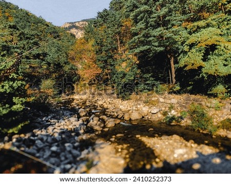 Korea Forest River Bank with Rocks Water Streaming Background
