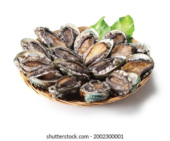 korea seafood fresh abalone shell