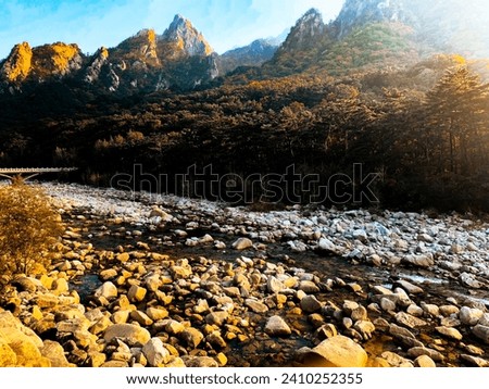 Korea Sunset Forest River Bank with Rocks Water Streaming Background