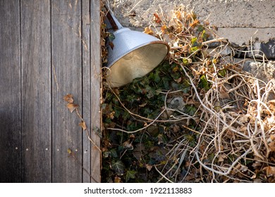 Korea, Travel, Dead Telephone Pole, Dead Street Lamp, Broken Street, Etc