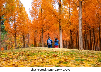 Korean Couple Walking In Nami Park In Nami Island, Seoul, South Korea