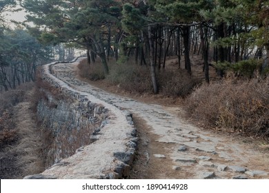 Korean Fortress Wall Under Evergreen Treeline On Winter Morning. Primary Focus On Foreground.