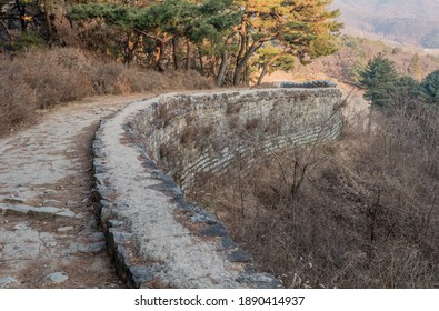 Korean Fortress Wall Under Evergreen Treeline On Winter Morning.