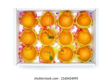 Korean Fruit Hallabong Gift Box With White Background, Top View