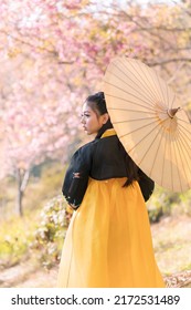 Korean girl wearing a hanbok wearing yellow umbrella. Beautiful Female wearing traditional Korean hanbok with cherry blossom in spring, seoul, Korea. - Shutterstock ID 2172531489