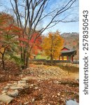 A Korean hanok temple surrounded by autumn colorful trees in Naejangsan national park in Jeongeup, South Korea 