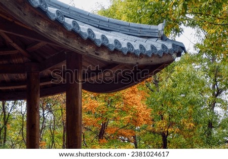 Korean Hanok tile roof and autumn trees