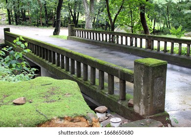 89 Korean lichen Images, Stock Photos & Vectors | Shutterstock