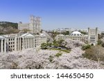 Korean University campus with cherry trees are in full blooms
