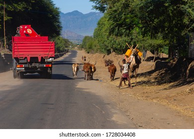 29 Ethiopian camel farm Images, Stock Photos & Vectors | Shutterstock