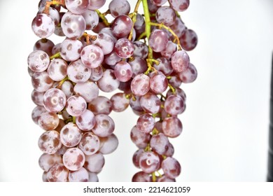 Koshu Grape Is A Basic Grape Variety