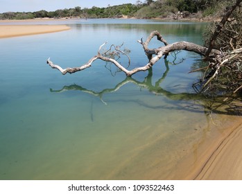 Kosi Bay River Estuary 