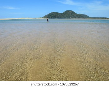 Kosi Bay River Mouth And Estuary