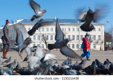 KOSTROMA, RUSSIA - March 17, 2017: Pigeons On A City Square With A Long, Dashing, In Motion, City Center