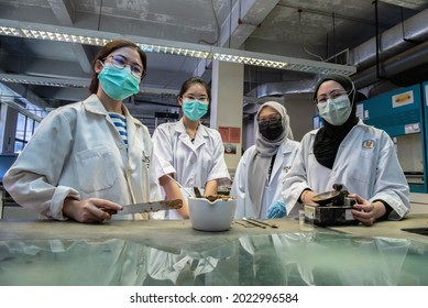 Kota Kinabalu, Sabah, Malaysia  - August 6, 2021: Group Of Geology Students From University Malaysia Sabah Working At The Lab And Wearing A Mask.