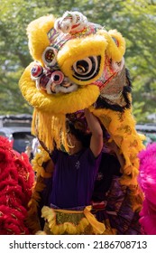 Kota Kinabalu, Sabah, Malaysia-Januray 23, 2022 : Traditional Colorful Chinese Lion Dance Ready For Performance At Kota Kinabalu,Sabah, Malaysia