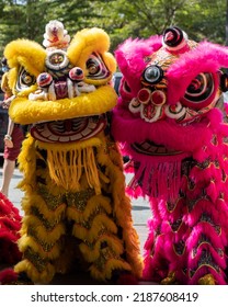 Kota Kinabalu, Sabah, Malaysia-Januray 23, 2022 : Traditional Colorful Chinese Lion Dance Ready For Performance At Kota Kinabalu,Sabah, Malaysia