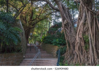 Kowloon Park, Hong Kong