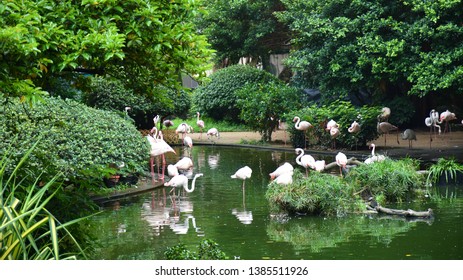 Kowloon Park, Hong Kong April 2019 