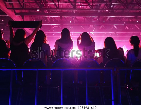 K-Pop music theme or live concert background\
silhouette of girls holding hands and sign for artist supporting.\
(space for text)