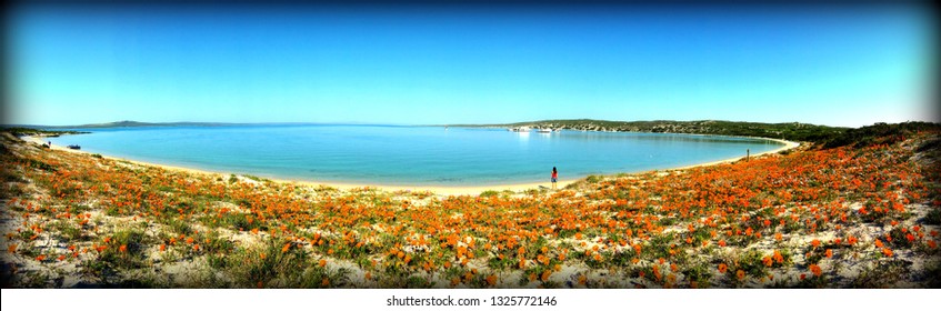 Kraal Baai, Langebaan, West Coast South Africa