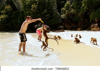 thailand monkey island