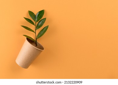 Kraft paper coffee cup with green leaves - biodegradable, compostable paper utensils for hot drinks. Paper cup on orange background with copy space. Environmental conservation concept. Selective focus