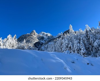 Kranjska Gora, Slovenia - Winter Landscape