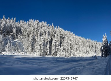 Kranjska Gora, Slovenia - Winter Landscape