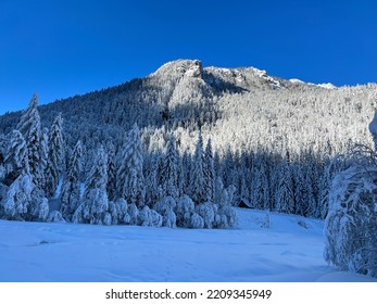 Kranjska Gora, Slovenia - Winter Landscape