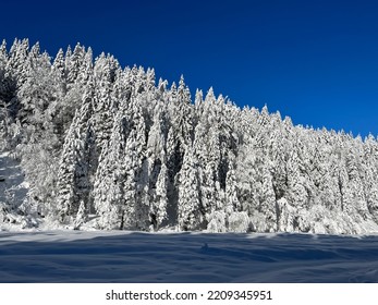 Kranjska Gora, Slovenia - Winter Landscape