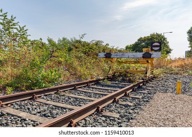 Single krefeld