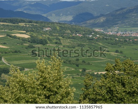Krems in the danube valley