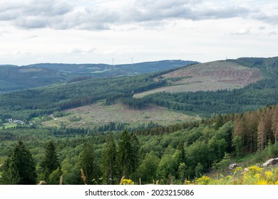 Kreuztal, Nordrhein-Westfalen, Germany, 08 11 2021 - Forest and landscape after large-scale deforestation due to bark beetle (Borkenkäfer) infestation