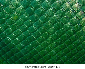 11,853 Dinosaurs scales Images, Stock Photos & Vectors | Shutterstock