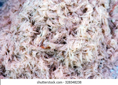 Krill (Euphausiacea) For Making Thai Shrimp Paste