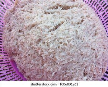 Krill Or Euphausiacea Or Small Shrimp To Make Thai Shrimp Paste From Southern Of Thailand