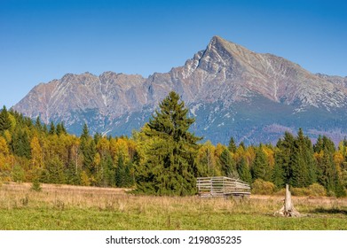 Krivan mountain in High Tatras, Slovakia, region Liptov. In colorful autumn nature. Colorful autumn landscape in foreground