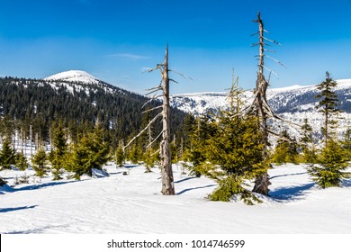 Krkonose (Giant Mountains) In Winter - Czech Republic, Europe