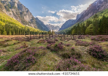 Similar – Foto Bild Bergtal Natur Landschaft