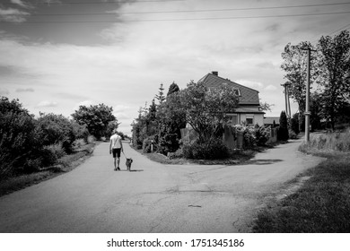 Krnov, Czechia - 6 6 2020: Path Has Been Chosen, Walk With Dog, Black And White