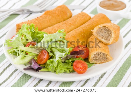 Krokiety - Polish style croquettes filled with beef served with salad. Zdjęcia stock © 